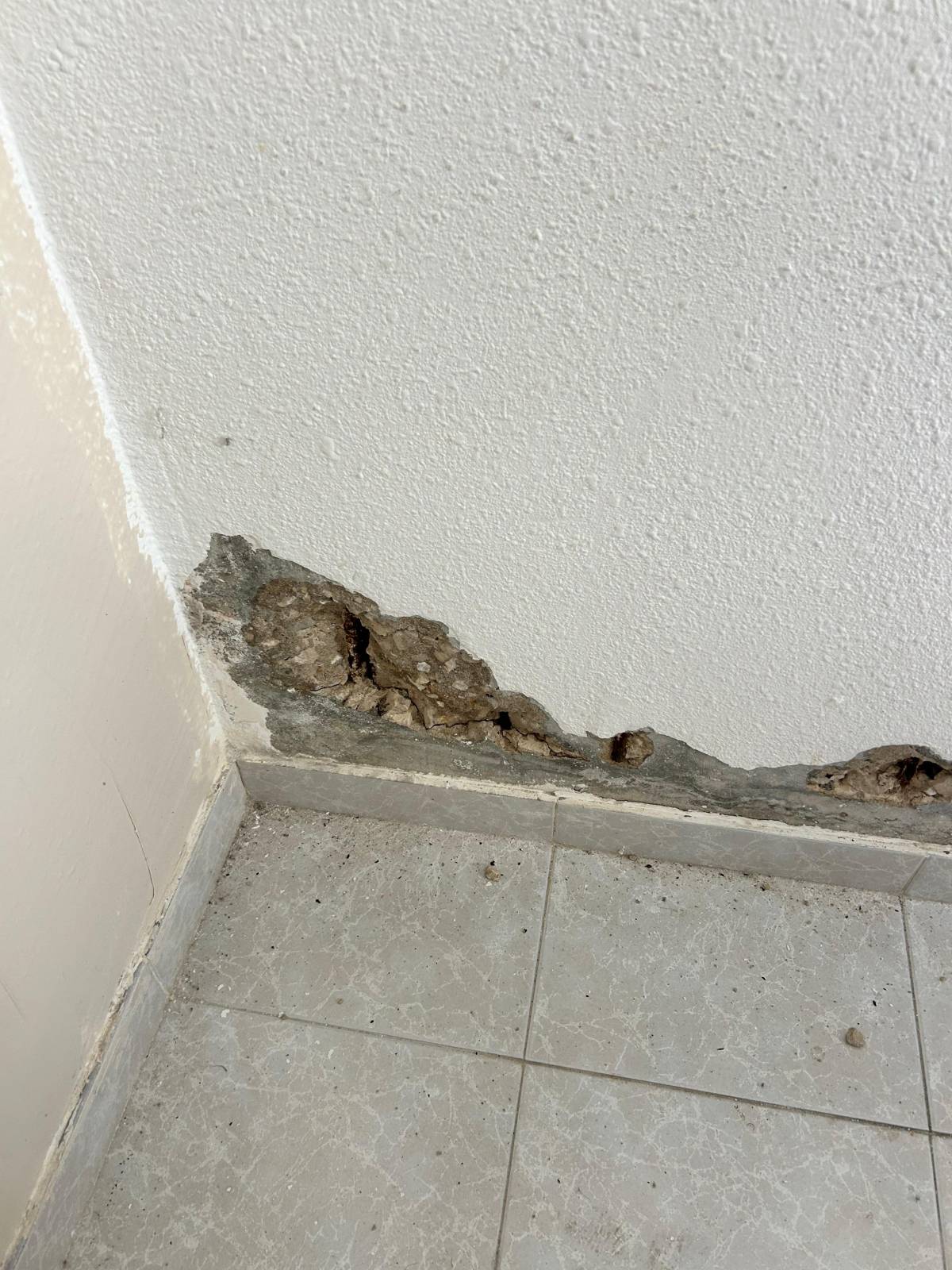 GJ Decor - Lisboa - Reparação ou Manutenção de Telhado