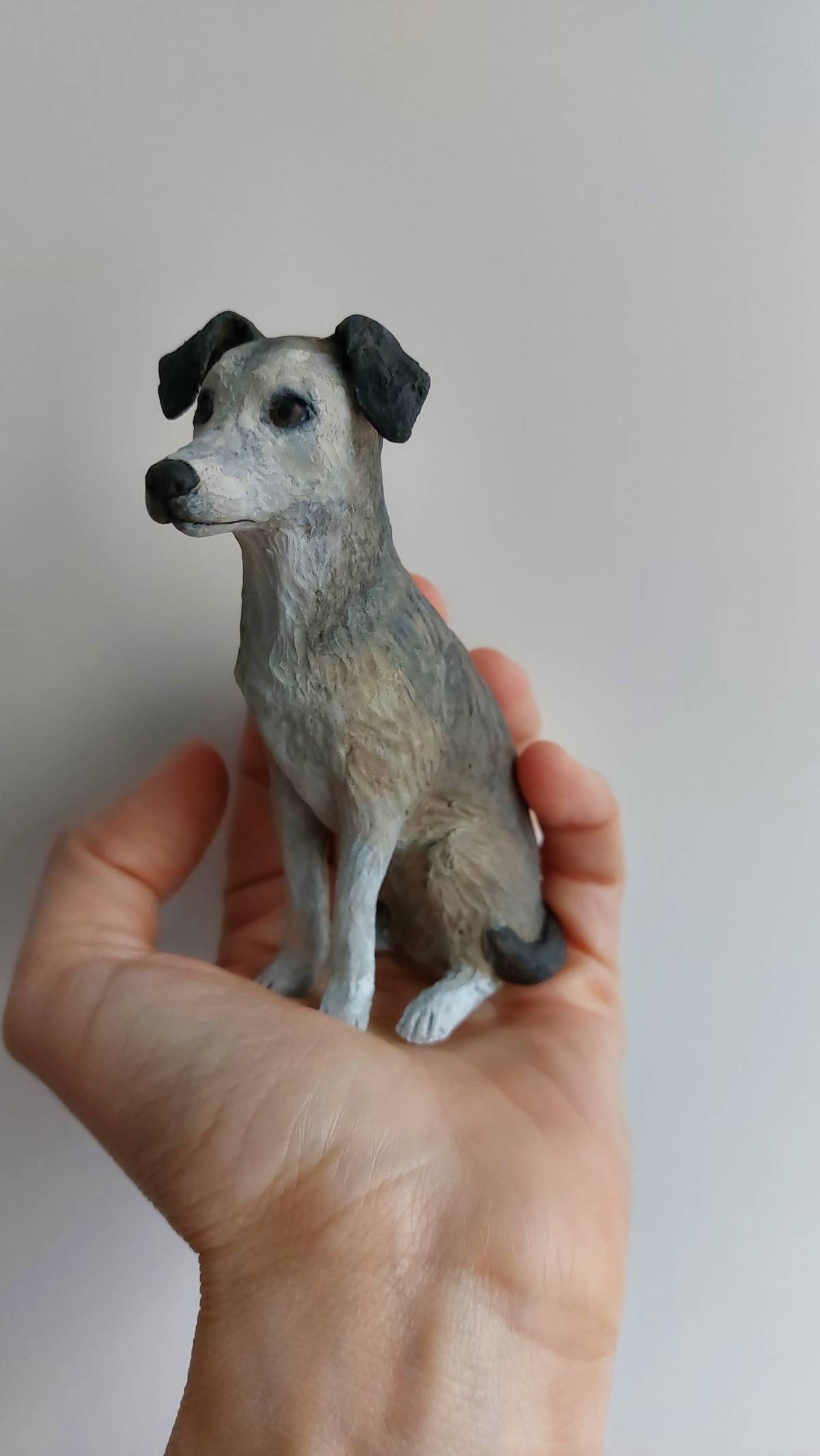 Ana Oliveira - Vila Franca de Xira - Pet Sitting
