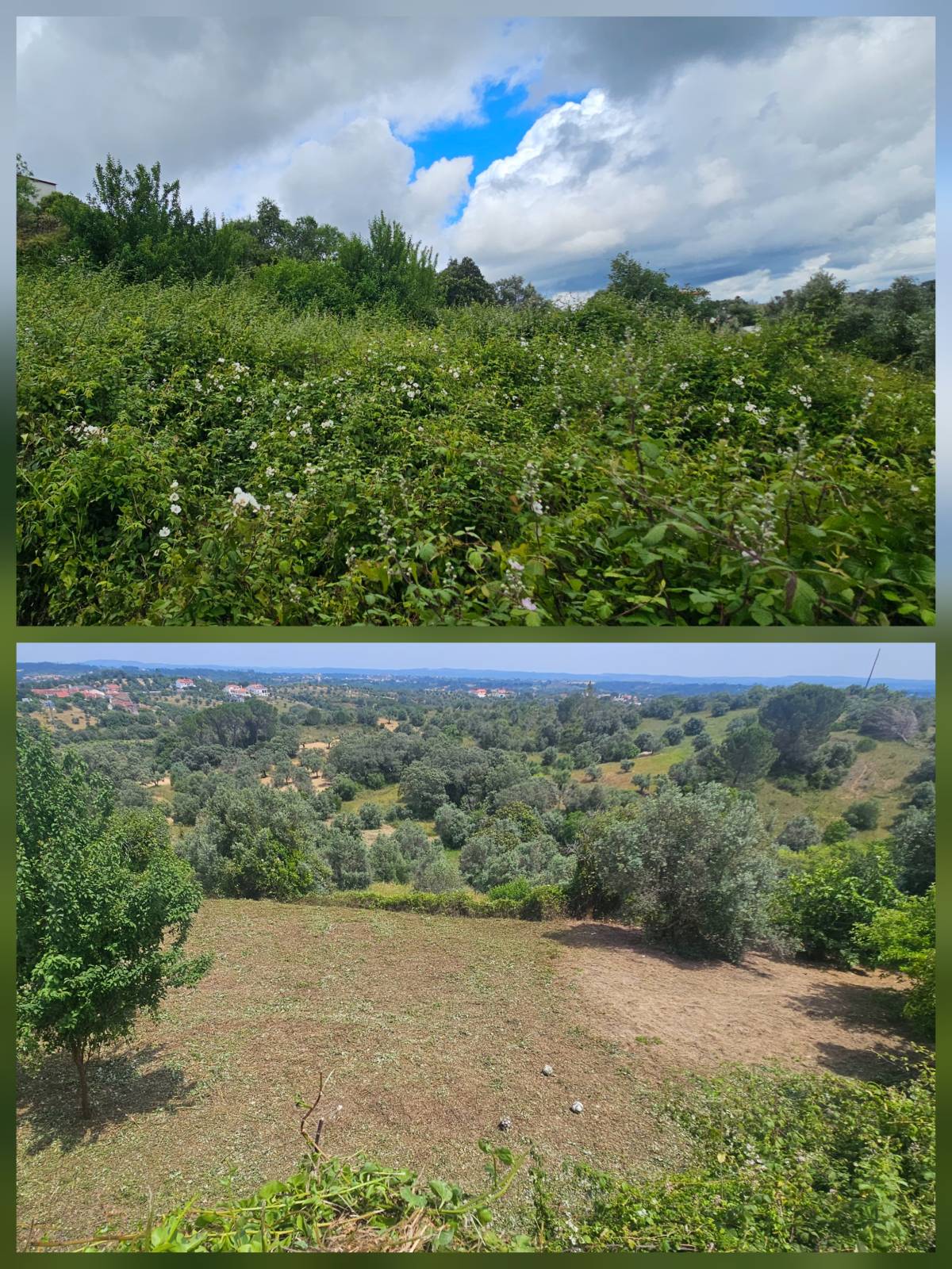 InovoGreen Serviços Florestais e Ambientais - Ourém - Instalação de Cerca
