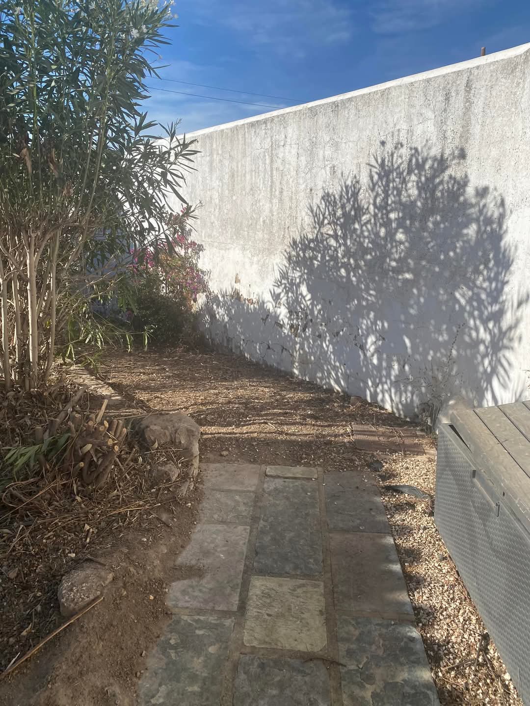 Lcr Tree Service - Lagos - Gardening