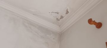 Pintor de Interiores