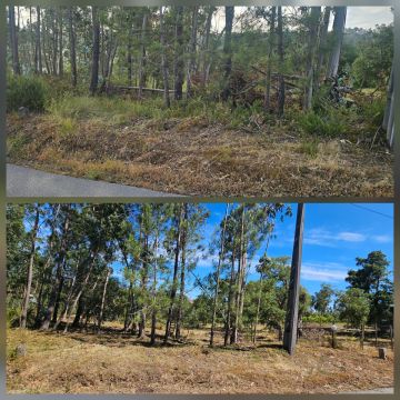 InovoGreen Serviços Florestais e Ambientais - Ourém - Remoção de Arbustos