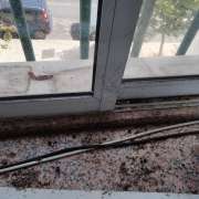 Apoio nas tarefas - Almada - Move-in or Move-out Cleaning