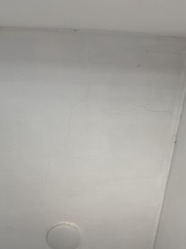 Plaster Specialist