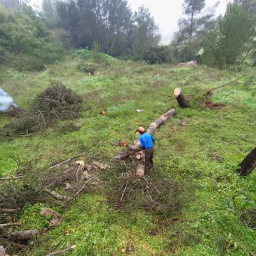 Lcr Tree Service - Lagos - Gardening
