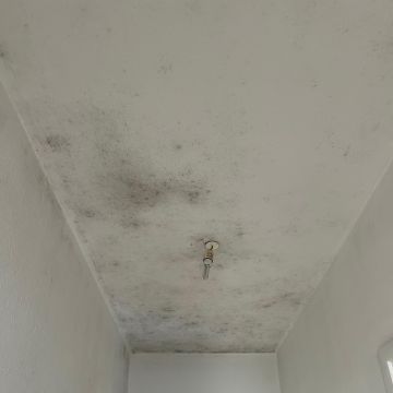 GJ Decor - Lisboa - Pavimentos