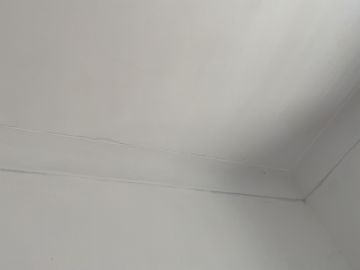 Plaster Specialist - Home Improvements