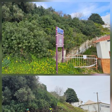InovoGreen Serviços Florestais e Ambientais - Ourém - Corte e Aparação de Relvado