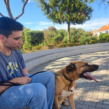 Miguel - Almada - Cat Sitting