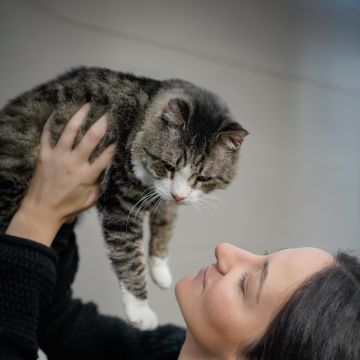 CatSisters - Vila Nova de Famalicão - Cuidados para Animais de Estimação