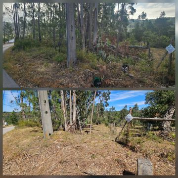 InovoGreen Serviços Florestais e Ambientais - Ourém - Remoção de Tronco de Árvore