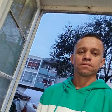 Nilson sillva - Oeiras - Construction de faux plafond