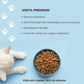 CatSisters - Vila Nova de Famalicão - Cat Sitting