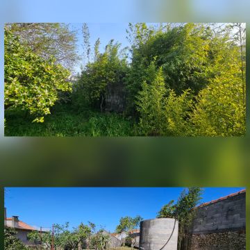 InovoGreen Serviços Florestais e Ambientais - Ourém - Tratamento de Relvado