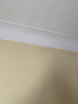 Plaster Specialist