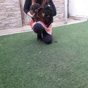 Paula Mestre  - Pet groomer - Faro - Creche para Cães
