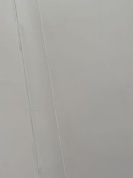 Plaster Specialist