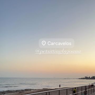 Joana Galvão - Cascais - Tutorías para múltiples asignaturas