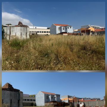 InovoGreen Serviços Florestais e Ambientais - Ourém - Plantação de Árvores