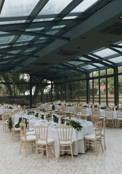 Why not ? Wedding planner - Lisboa - Fotografia de Animais de Estimação