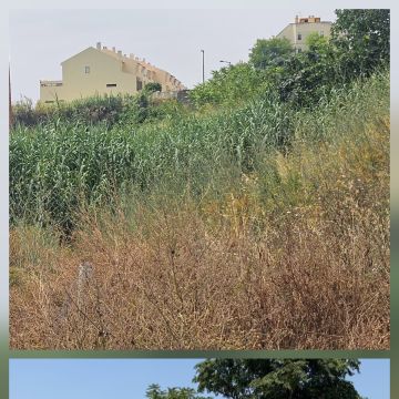 InovoGreen Serviços Florestais e Ambientais - Ourém - Remoção de Arbustos
