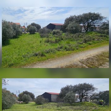 InovoGreen Serviços Florestais e Ambientais - Ourém - Remoção de Tronco de Árvore