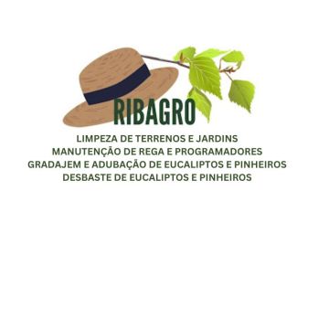 Miguel Neves - Chamusca - Shrub Removal