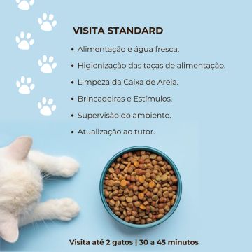 CatSisters - Vila Nova de Famalicão - Pet Sitting e Pet Walking