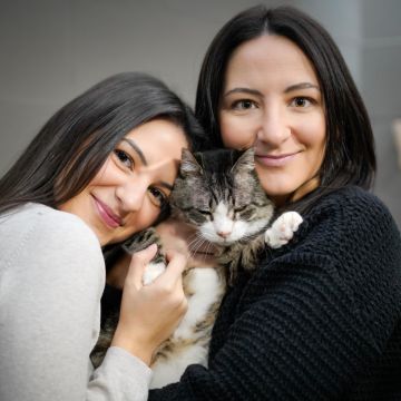 CatSisters - Vila Nova de Famalicão - Cat Sitting