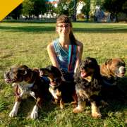 For Dog's Sake! - Sintra - Entrenamiento de animales