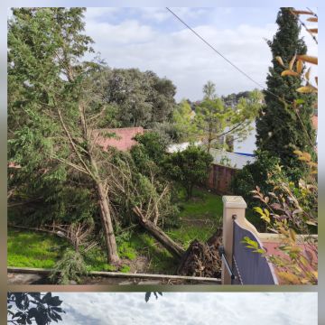 Roofing - Telmo Silva - 