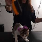 Paula Mestre  - Pet groomer - Faro - Banhos e Tosquias para Animais
