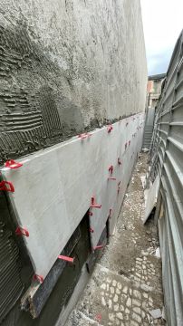 NUNES CORREA OBRAS - Cascais - Poda e Manutenção de Árvores