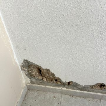 GJ Decor - Lisboa - Reparação ou Manutenção de Telhado