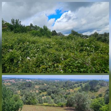 InovoGreen Serviços Florestais e Ambientais - Ourém - Instalação de Cerca