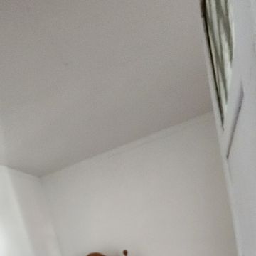 GJ Decor - Lisboa - Instalação de Pavimento em Pedra ou Ladrilho