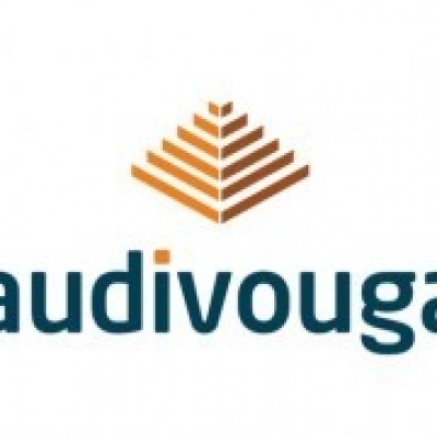 Audivouga - Consultoria Empresarial Lda - Santa Maria da Feira - Consultoria Empresarial