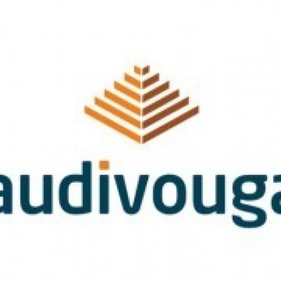 Audivouga - Consultoria Empresarial Lda - Santa Maria da Feira - Contabilidade Online