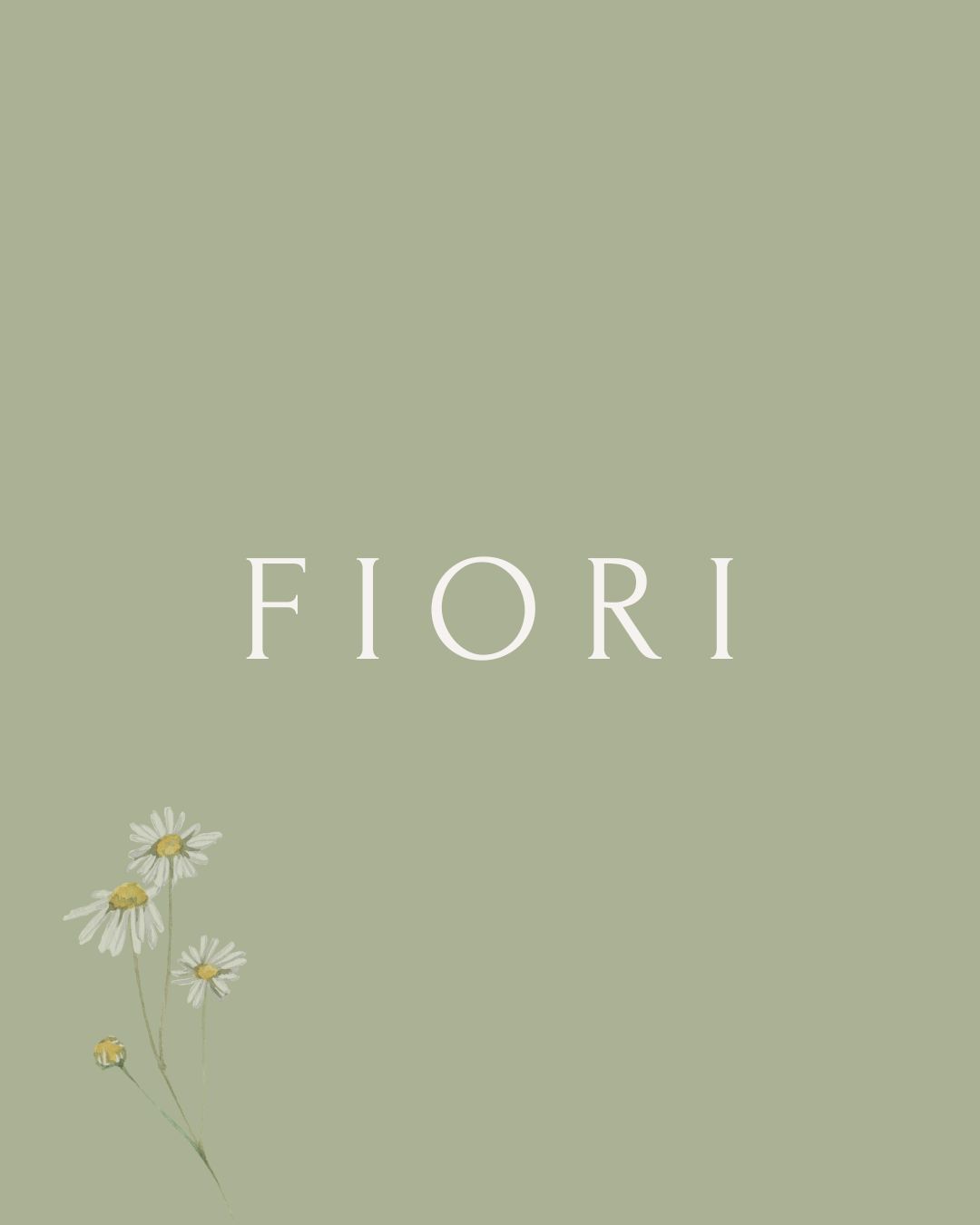 Fiori - Braga - Floristas