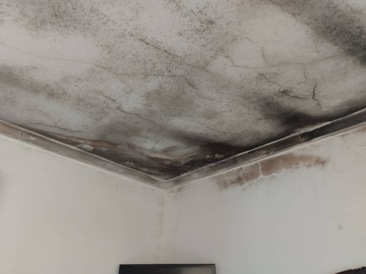 Limpezas AT - Santa Maria da Feira - Property Cleanup