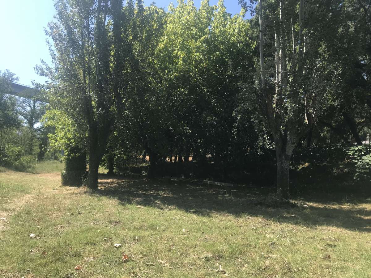 ACM Coimbra - Coimbra - Reitstunden für Kinder oder Jugendliche