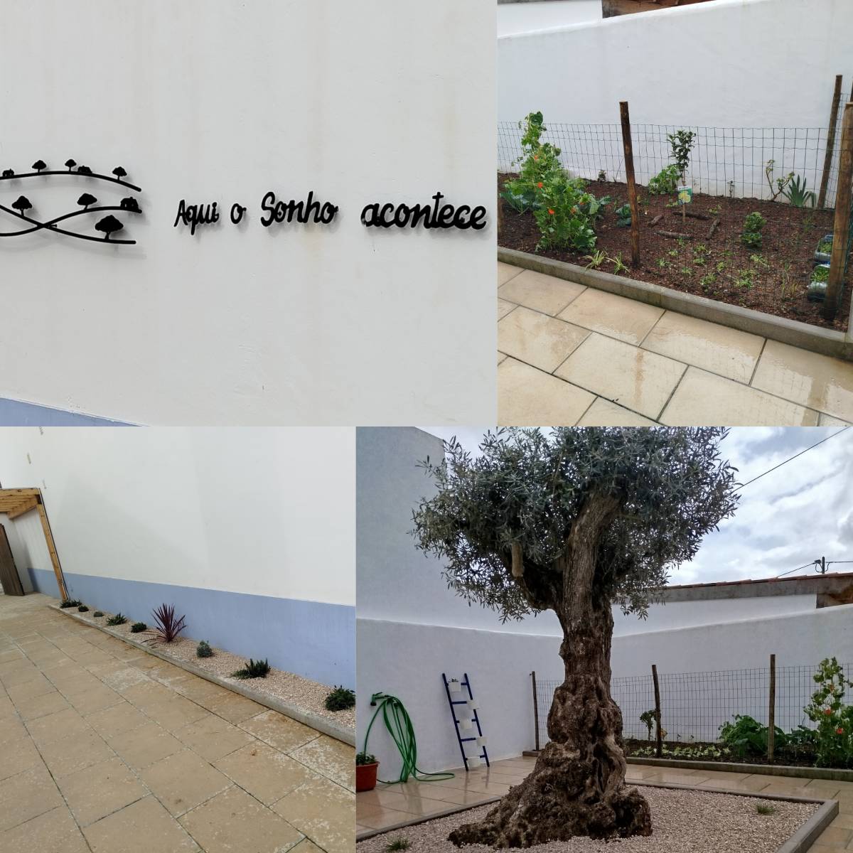 Antonio Videira - Vendas Novas - Sprinkler System Installation