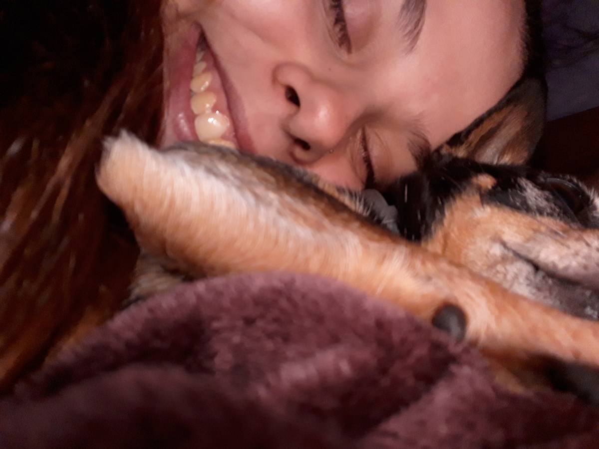Maria Jorge - Aveiro - Hospedaje de perros