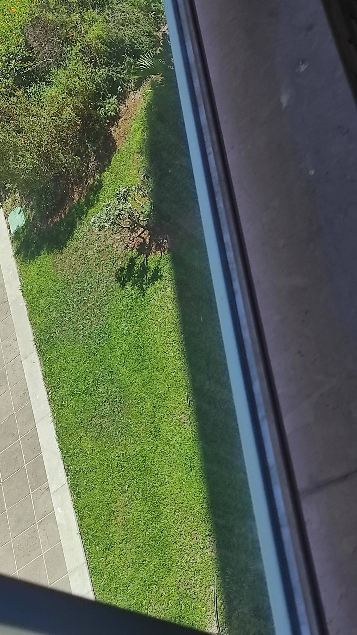 Elizinete Inácia Custodio - Odivelas - Limpieza de ventanas
