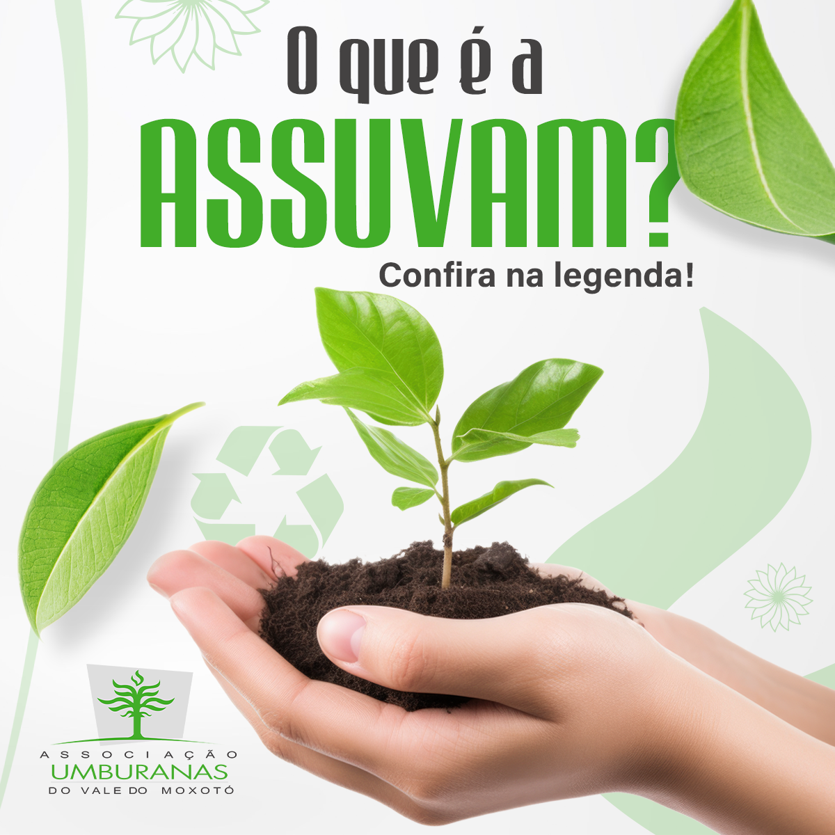 Thomas Gonçalves - Évora - Print Design
