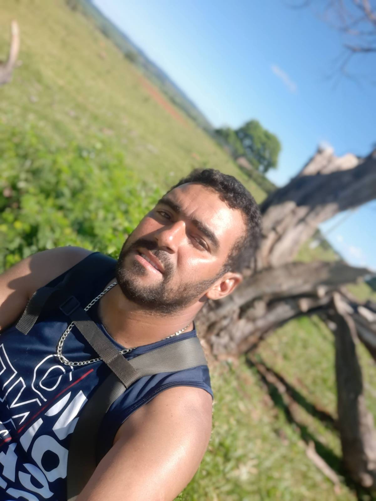 Ademar eletricista e obras gerais - Barreiro - Reparação de Cortador de Relva