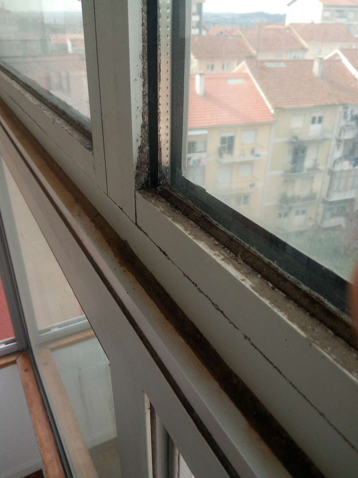 Miguel Ângelo - Coimbra - Window Blinds Cleaning