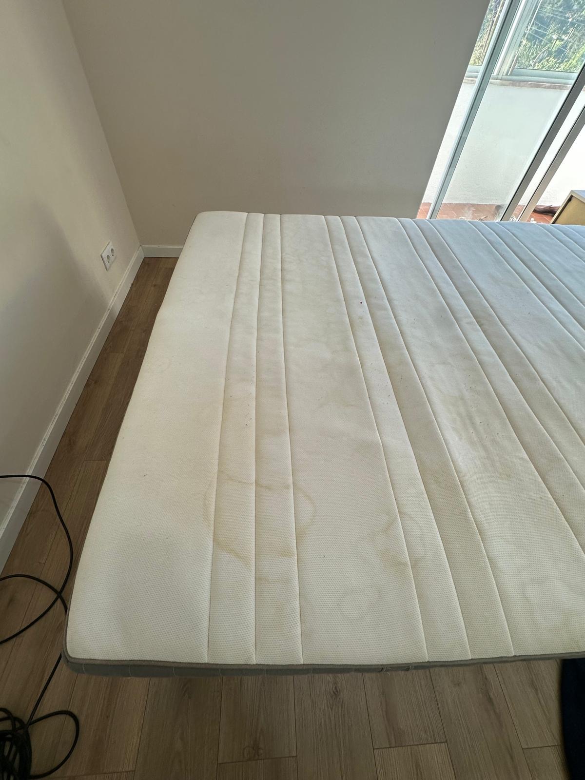 Primor Care - Almada - Limpeza