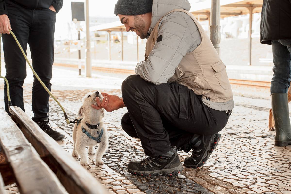 Joaosilva.dogtrainer - Alcobaça - Treino de Cães