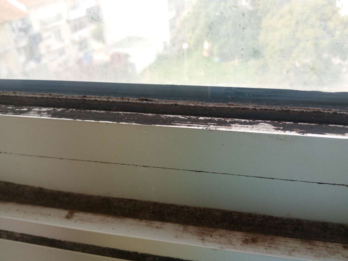 Miguel Ângelo - Coimbra - Property Cleanup